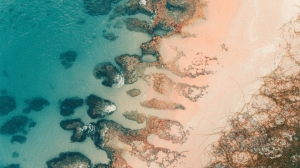 Profughi climatici